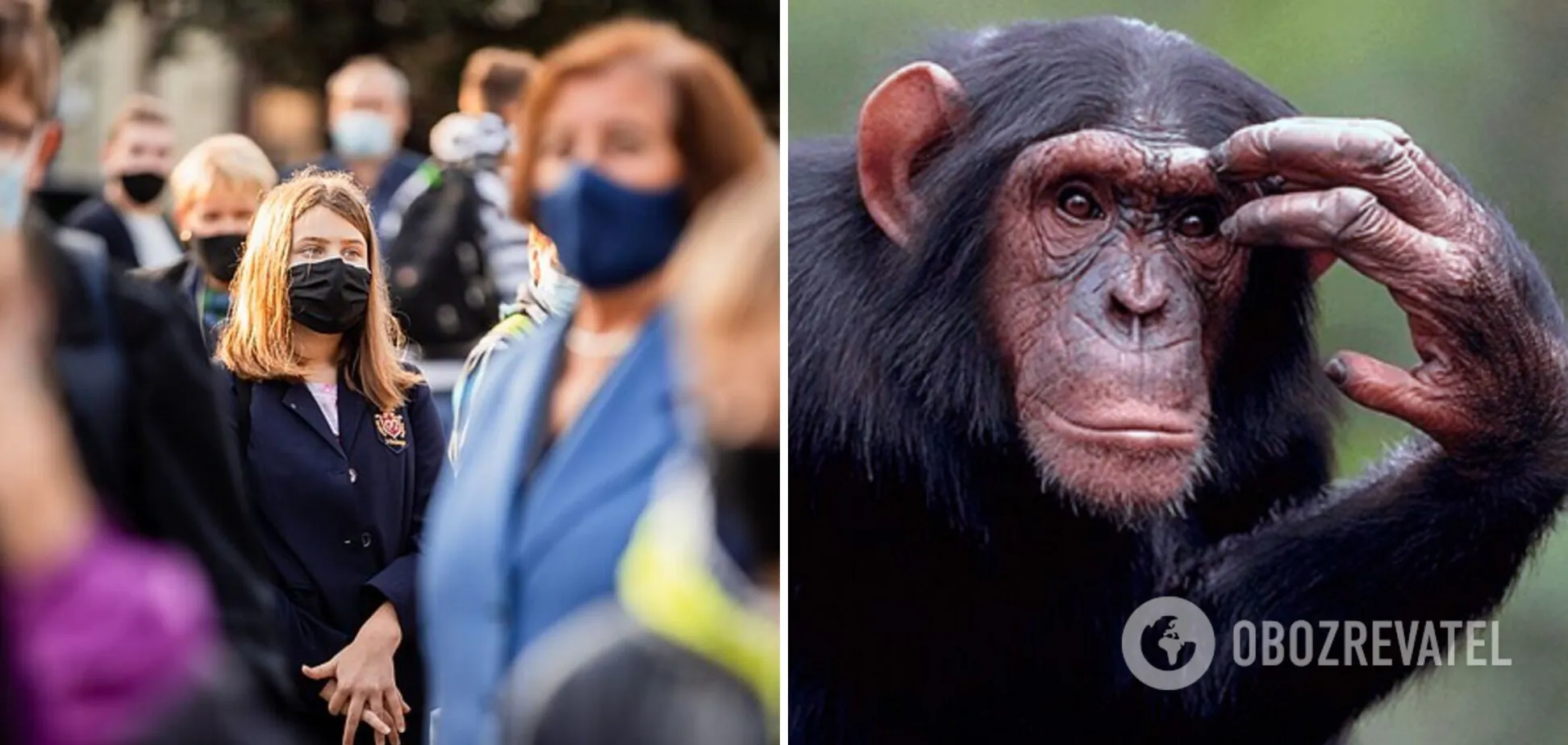 В Україні зареєстрували другий випадок віспи мавп: у МОЗ розповіли подробиці