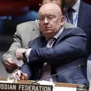 Історик Снайдер на Радбезі ООН потролив Небензю