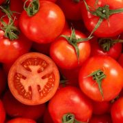В Україні може виникнути дефіцит томатів