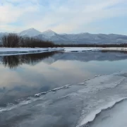 Заморозки, дощі та грози: погода принесе нові “сюрпризи”, де температура повітря опуститься до -8 градусів