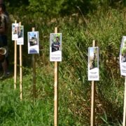 Франківські військові зібралися щодо будівництва реабілітаційного центру біля міського озера