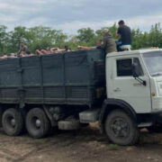 На Одещині зупинили КамАЗ, “під верх” забитий чоловіками