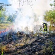 Минулої доби на Прикарпатті була 21 пожежа в екосистемах