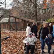 В Галицькому НПП будуть оздоровлювати військових та дітей, які постраждали внаслідок війни