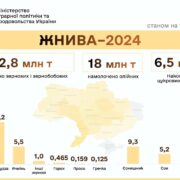 Аграрії Івано-Франківщини – попереду за урожайністю зернових