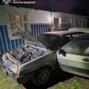 Дві пожежі за вечір у Лисецькій громаді: що горіло