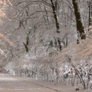 Крижаний дощ накриє цю область: синоптики прогнозують крижану бурю