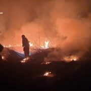На Прикарпатті зросла кількість пожеж в екосистемах через потепління