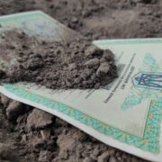 Якщо у вас дача, город чи пай: терміново перевірте своє право власності – як це зробити