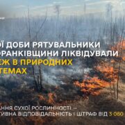 Минулої доби на Франківщині ліквідували 30 пожеж в природних екосистемах