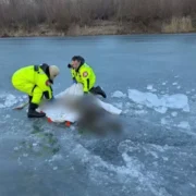 На Коломийщині з річки Прут витягнули тіло чоловіка