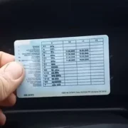 Штраф – ще пів біди: за це порушення у капота машини заберуть права