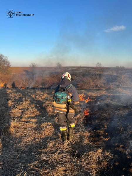 12 паліїв сухостою притягнуто до відповідальності за минулу добу