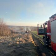 12 паліїв сухостою притягнуто до відповідальності за минулу добу