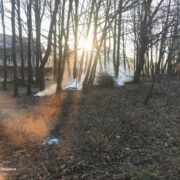 92 пожежі за добу: 17 паліїв сухостою притягнуто до відповідальності