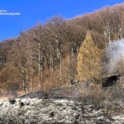 Через спалювання сухої трави на Косівщині виявили тіло місцевого жителя