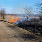 На Прикарпатті за добу ліквідували 92 пожежі, є загиблий