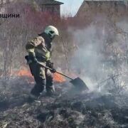 У Дем’яновому Лазі ліквідували пожежу сухої трави площею 15 гектарів