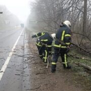 На Прикарпатті рятувальники ліквідовують наслідки негоди: повалені дерева перекрили дороги