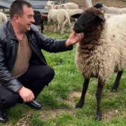 Як ветеран з Франківщини реалізував свою мрію про власну справу