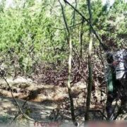 На Прикарпатті затримали «екстремальних туристів» з Харківщини
