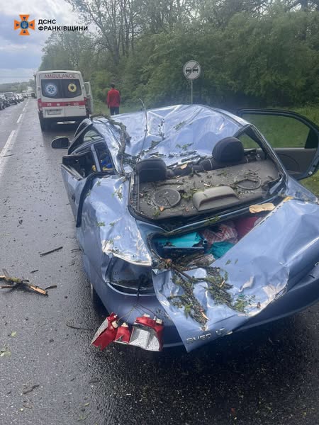 Негода на Прикарпатті: повалені дерева, підтоплення та постраждала людина