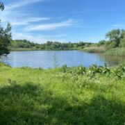 Прокуратура повернула громаді на Прикарпатті ділянку зі ставком